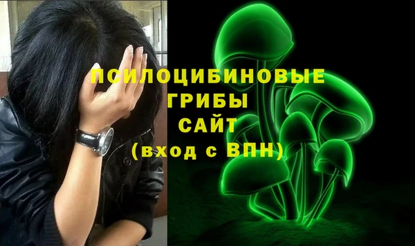 ECSTASY Алексин